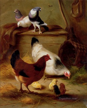 Palomas y gallinas animales de granja Edgar Hunt Pinturas al óleo